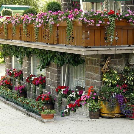 Albergo Trentino موينا المظهر الخارجي الصورة