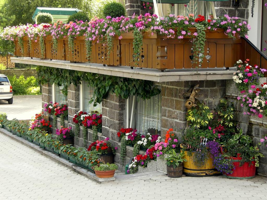 Albergo Trentino موينا المظهر الخارجي الصورة