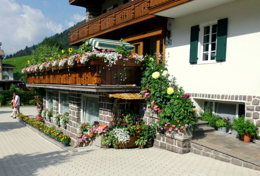 Albergo Trentino موينا المظهر الخارجي الصورة